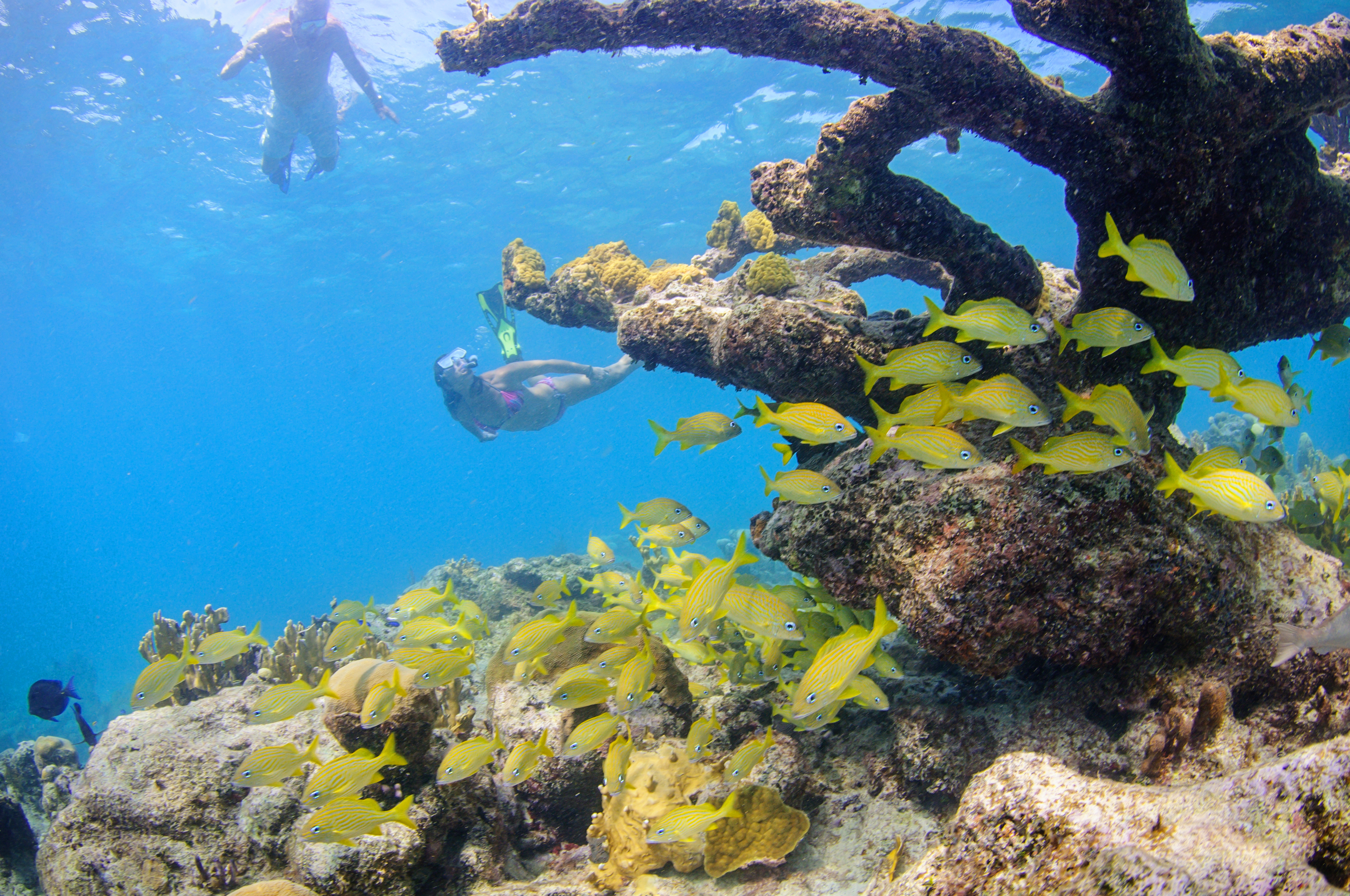 Turks And Caicos Sport Fishing And Luxury Boat Cruises