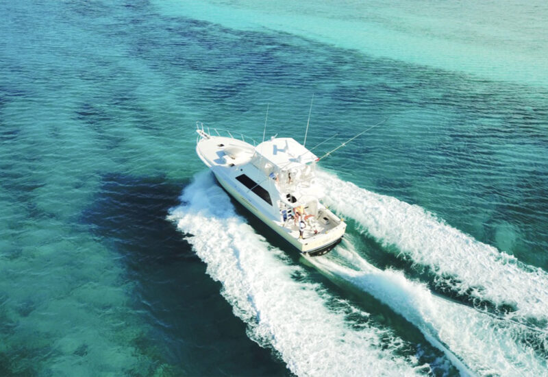 Panoply Running Panoply Running