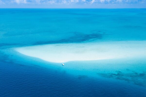 DJI_0490