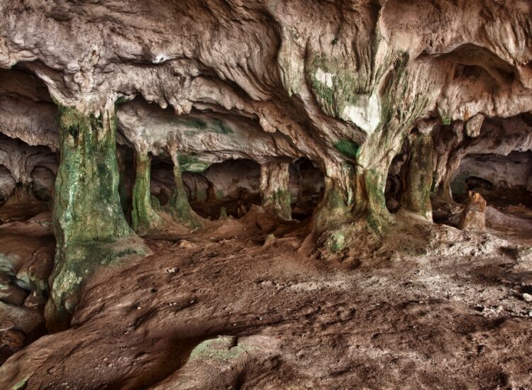 Conch Bar Caves in Middle Caicos, Turks and Caicos
