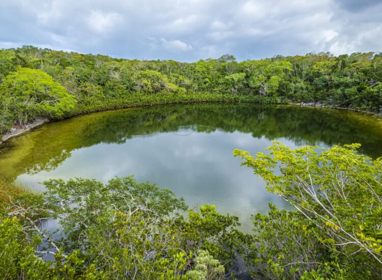Cottage Pond, North Caicos, Turks and Caicos