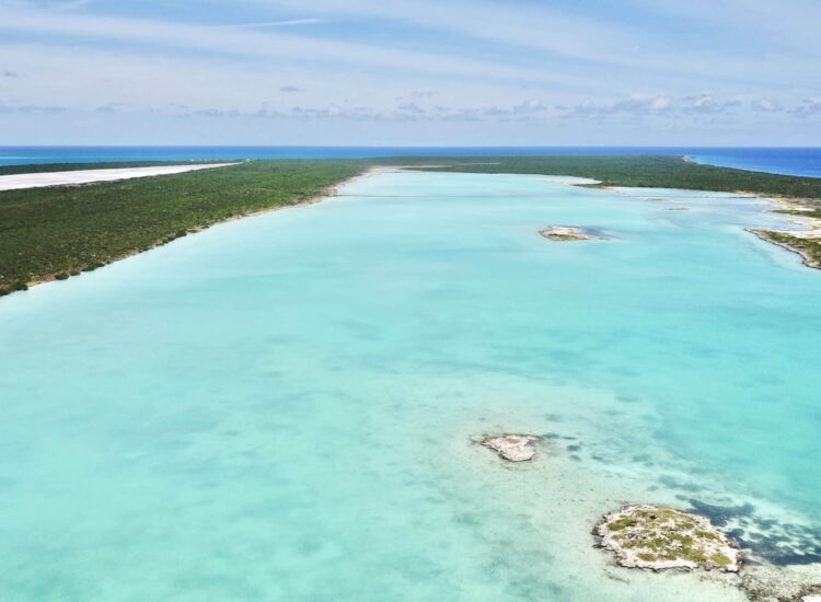 Lake Catherine in West Caicos, Turks and Caicos