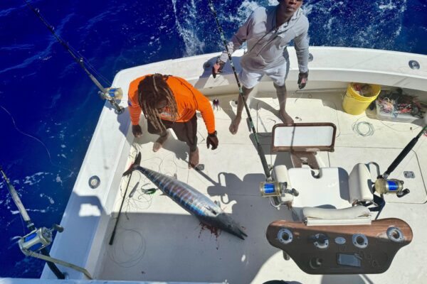 2023 Wine Cellar Fishing Tournament Turks and Caicos Wahoo Fishing