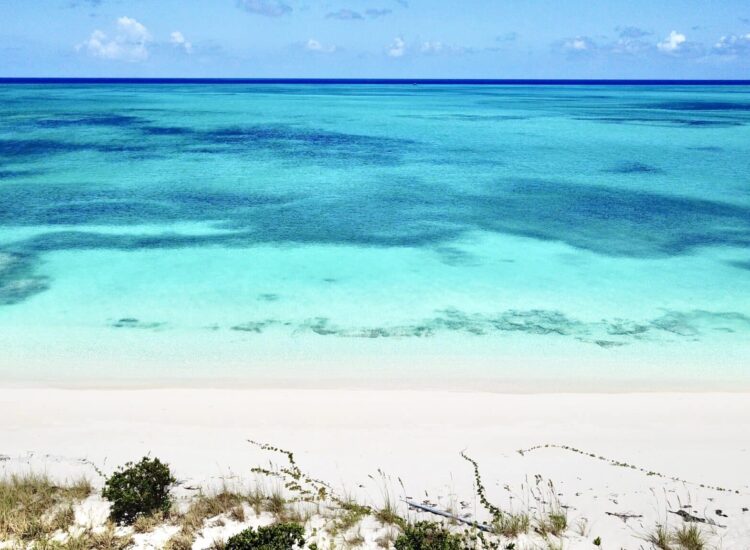 Bernard Bay, West Caicos, is one of the best beaches in Turks and Caicos Bernard Bay, West Caicos, is one of the best beaches in Turks and Caicos