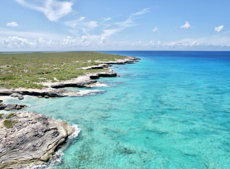The Western Iron Shore of West Caicos, Turks and Caicos