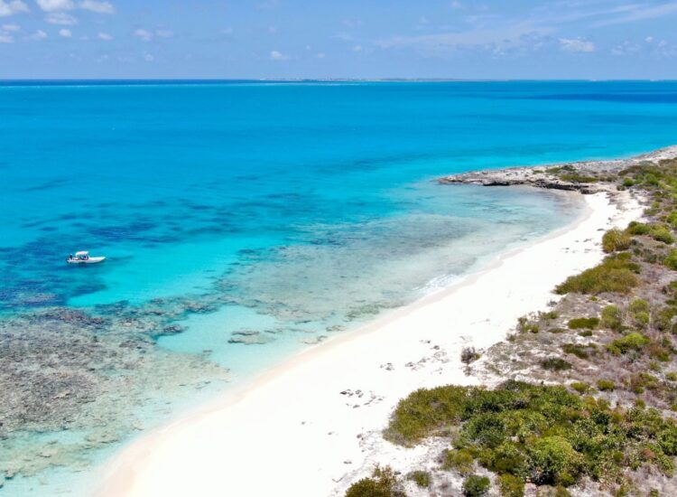 Salt Cay Turks and Caicos