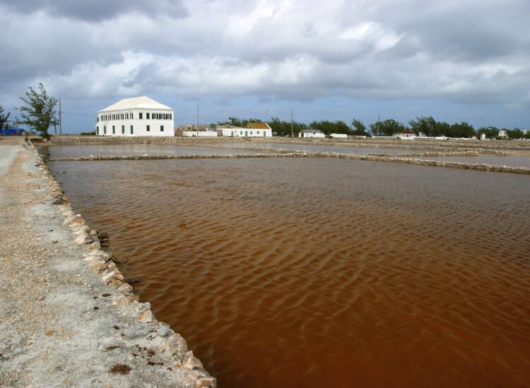 Balfour Town, Salt Cay Turks and Caicos